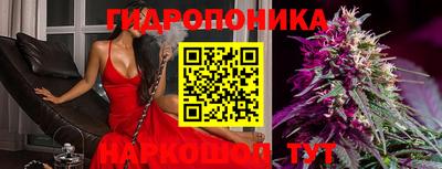 прущая мука Ачхой-Мартан