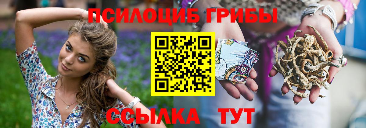 Псилоцибиновые грибы мухоморы  купить наркоту  Отрадный  Вход с VPN  Галлюциногенные грибы Psilocybine cubensis 